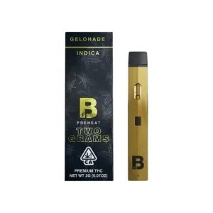 Kopen Blinkers Disposable Vape 2 Gram – Premium Disposable Vape