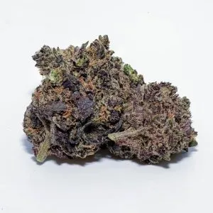 kopen Acai Gelato Strain