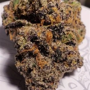 kopen Runtz Weed Strain