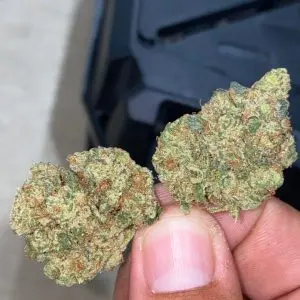 Kopen Galactic Candy Strain