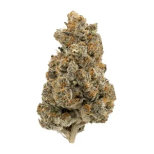 Kopen RS 11 Strain